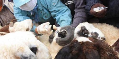 p195uq9o5m1v2hdh3alf15am1hgi1