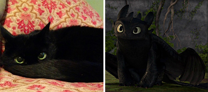 things-similar-to-looks-like-73__700