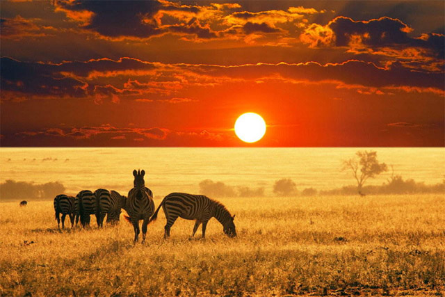 Gorgeous-Photo-of-Sunset-in-Nigeria-Safari