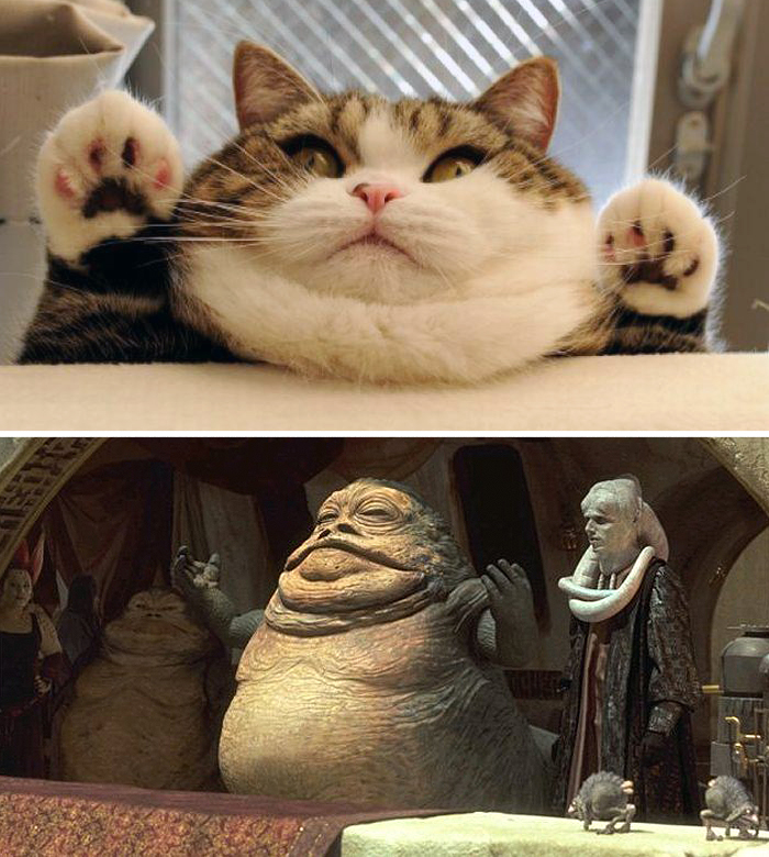 things-similar-to-looks-like-50__700