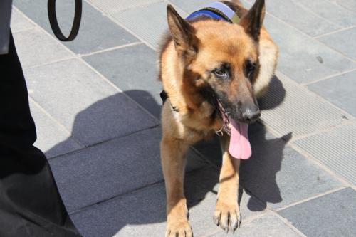 10689540_336725956533983_4718487778398550910_n