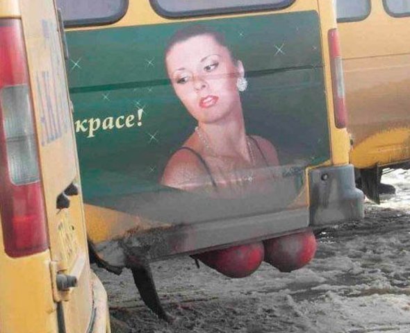 bus