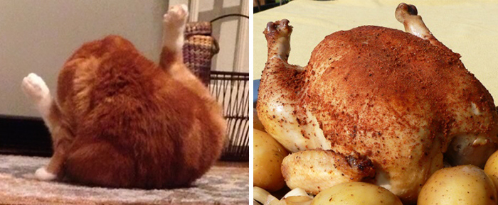 things-similar-to-looks-like-75__700