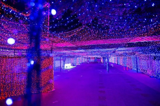 most-Christmas-lights-550x366