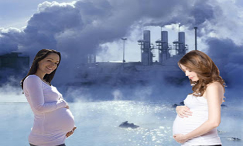 pollution-during-pregnancy pollution-during-pregnancy