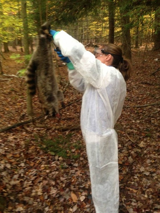 Petite-Mort-fur5-550x733