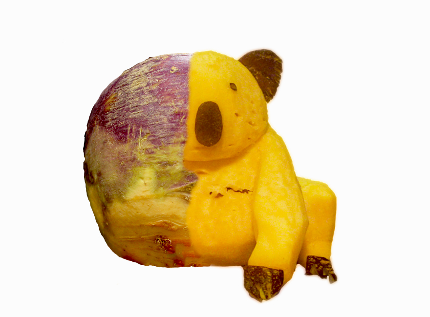 bored-panda-al32__880