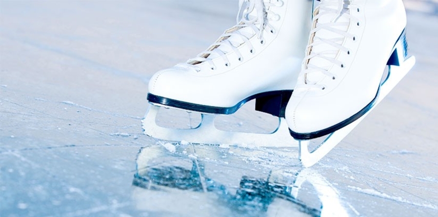 p19a2dt0cm16lq1tsd13u81put1pco1