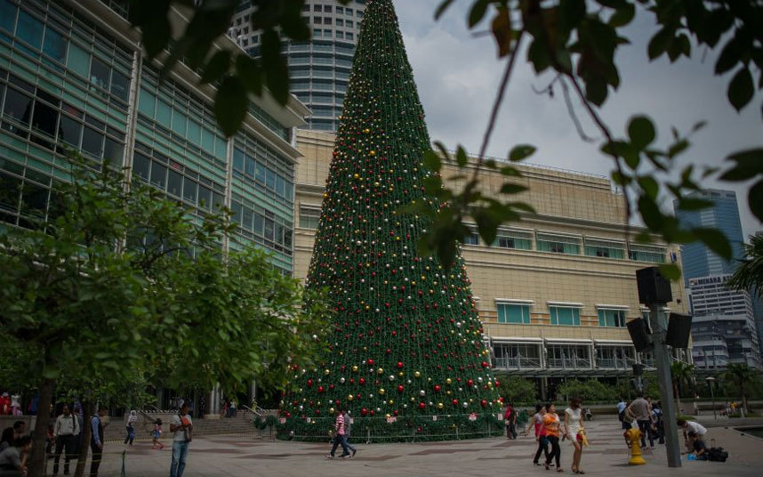 tree-KL_3129376k