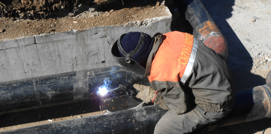 p19960a7kq31ucc8alnjs14hs1