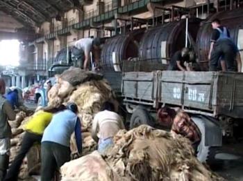 4774248110_70265c1c72