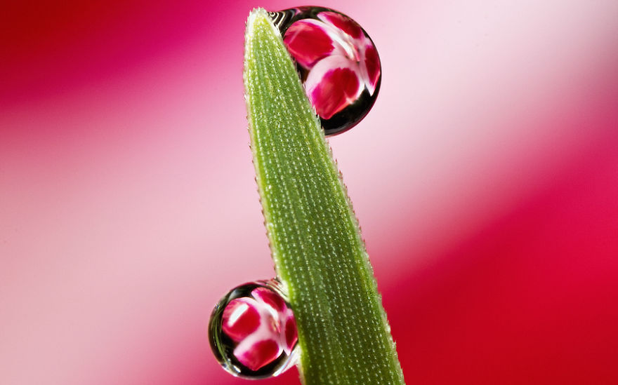 The-smaller-the-better.15__880