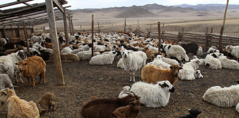 p199divl255qd1t0dsgrua1bii1