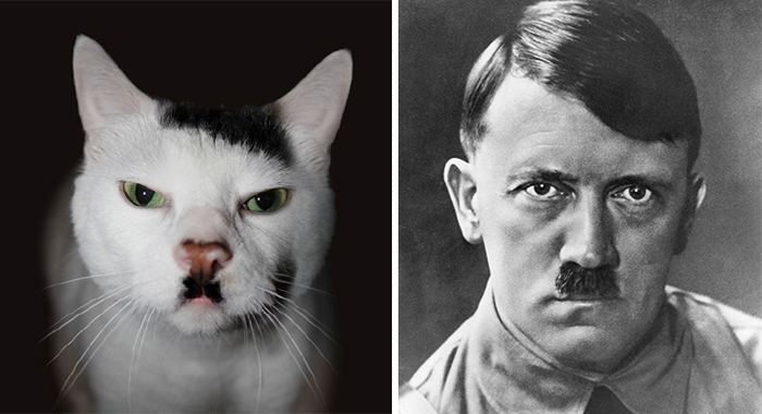 things-similar-to-looks-like-78__700