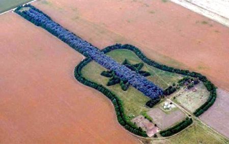 a98778_guitar-forest450