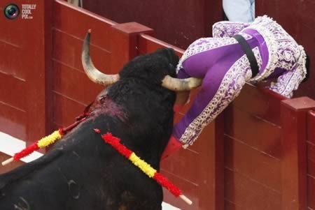 a98137_unlucky_10-bull