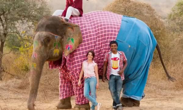 a98911_pet-accessory_8-elephant-jeans