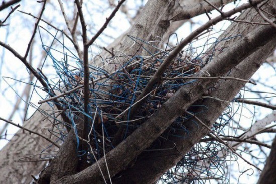 coat-hanger-nest2-550x366