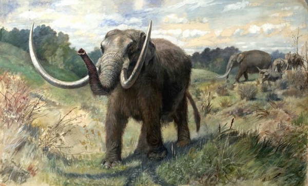 mastodon