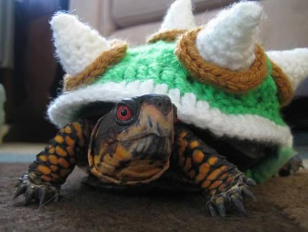 a98911_pet-accessory_4-turtle-sweater