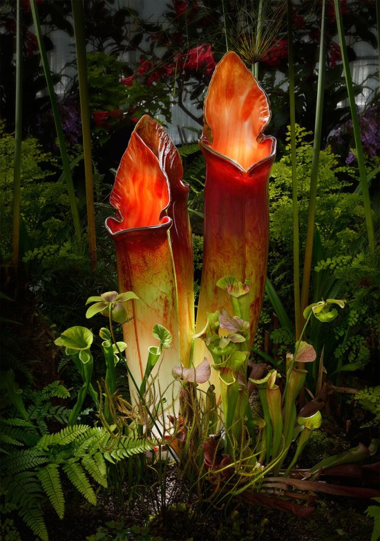 Jason-Gamrath-glass-flowers9-550x783