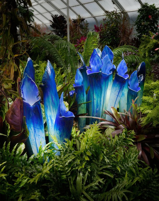 Jason-Gamrath-glass-flowers3-550x693