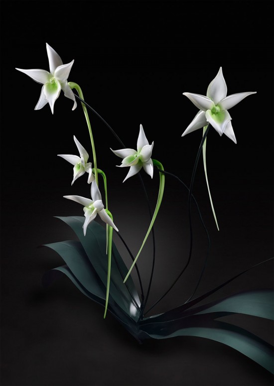 Jason-Gamrath-glass-flowers6-550x773