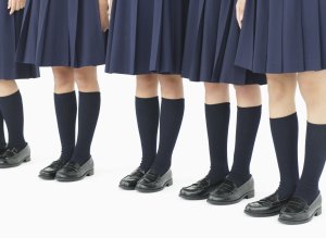 n-SKIRTS-large300