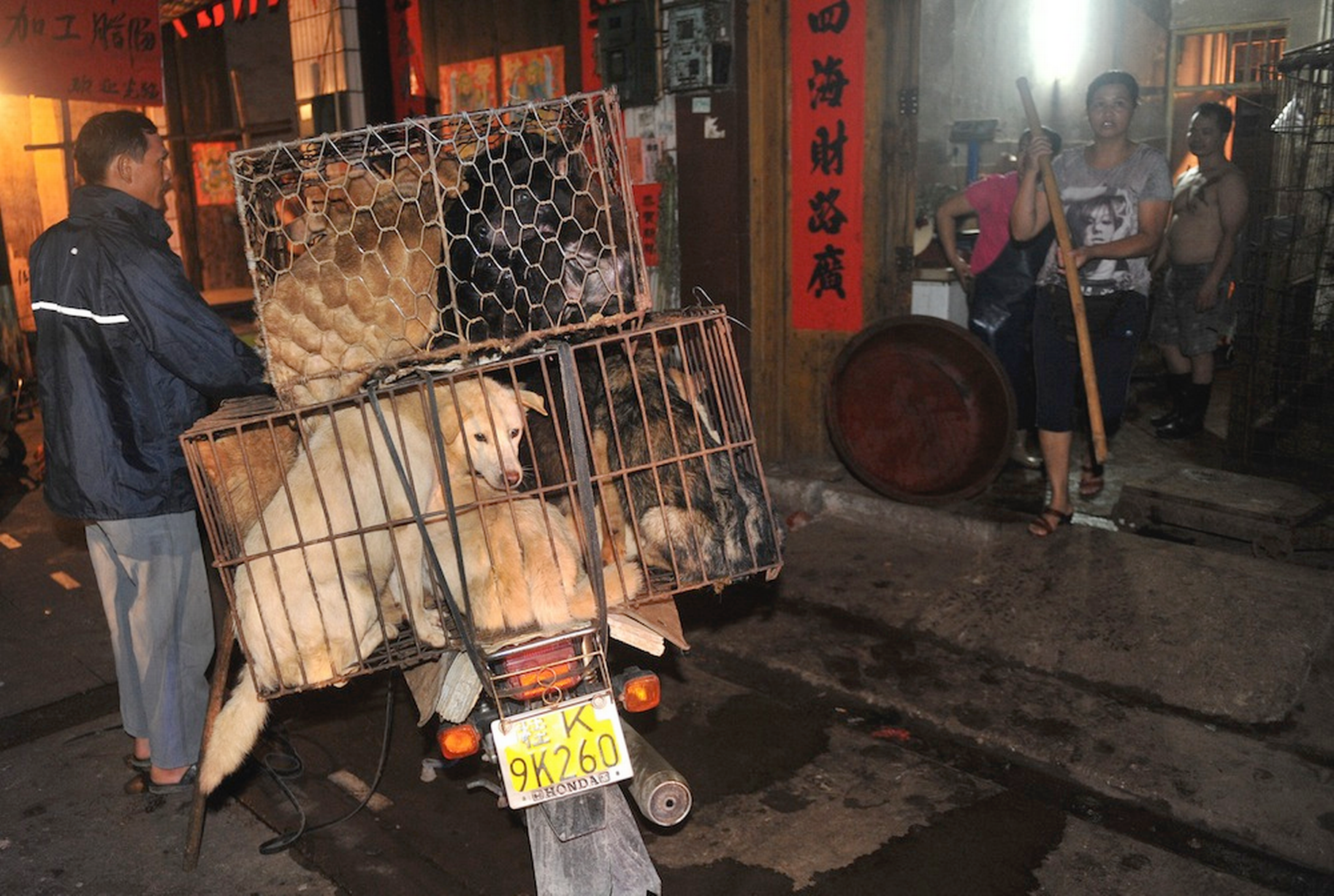 Dog-meat-festival-in-Yulin