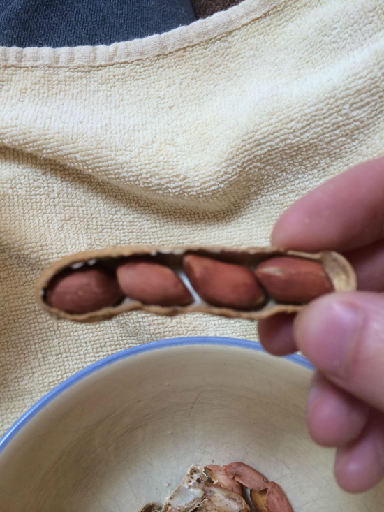oddly-satisfying-0016