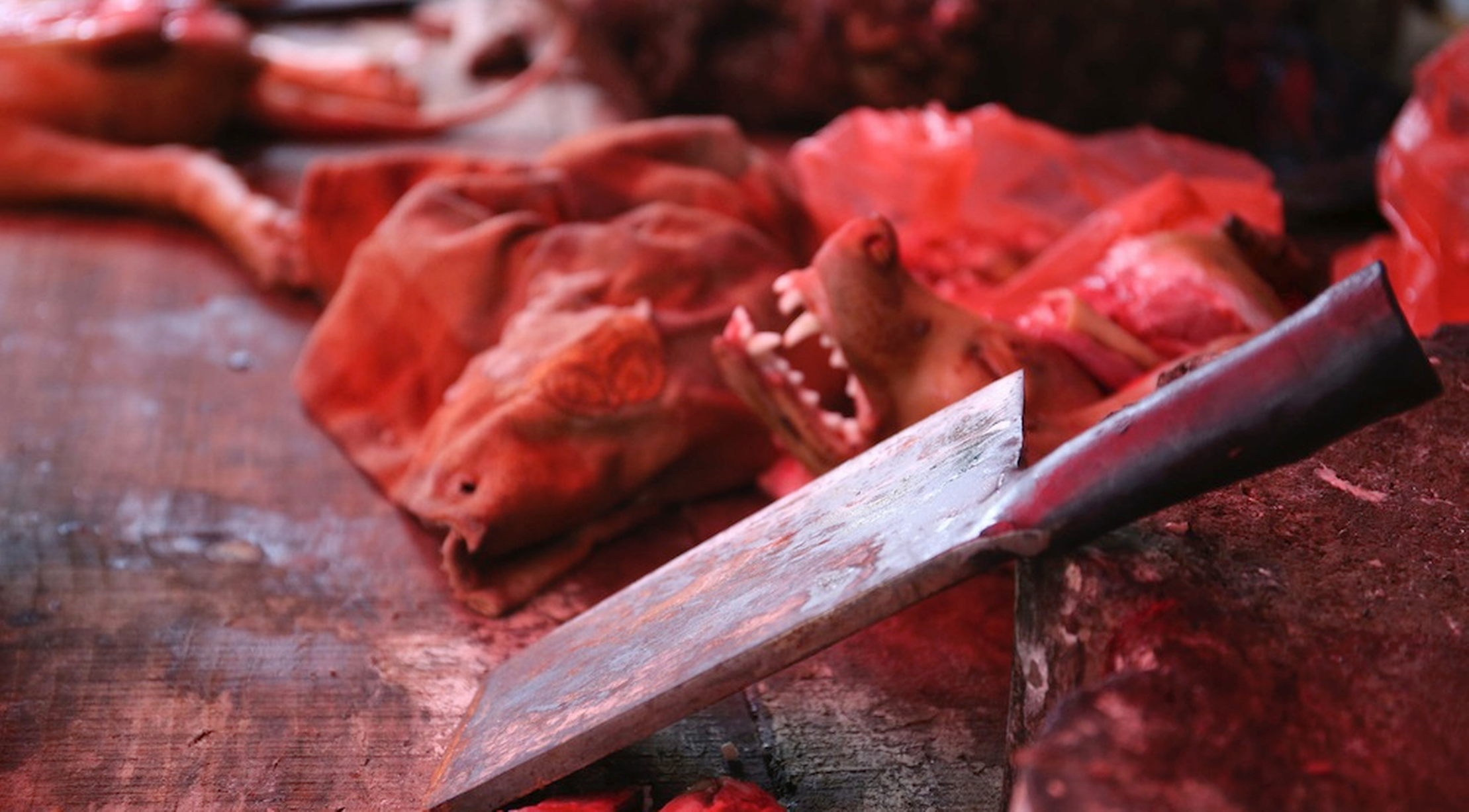 Dog-meat-festival-in-Yulin-China..