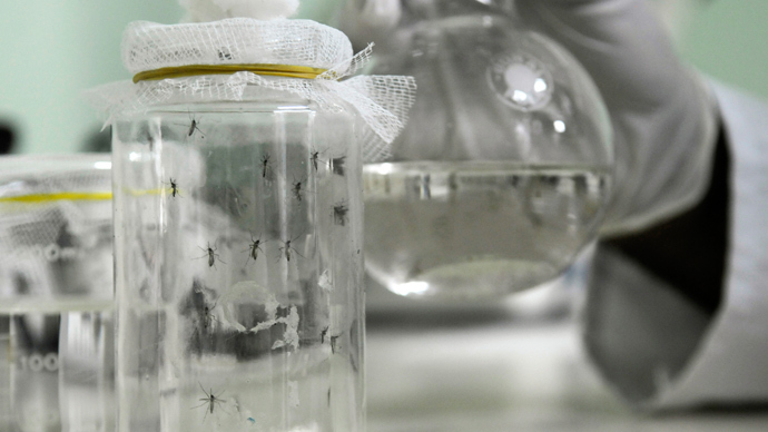 gm-mosquitos-malaria-fight.si