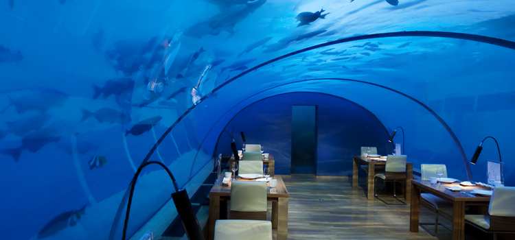 CN_newithaarestaurant_2_750x350_FitToBoxSmallDimension_Center