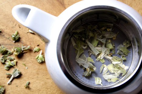 Sowden-Softbrew-Teapots-by-George-Sowden_dezeen_468_6