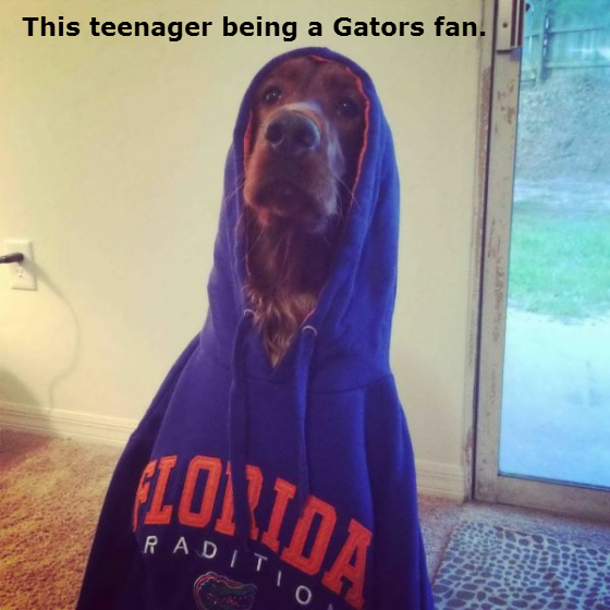 dogs-acting-like-people-00011
