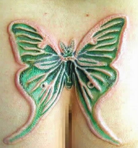 a97230_g138_8-butterfly