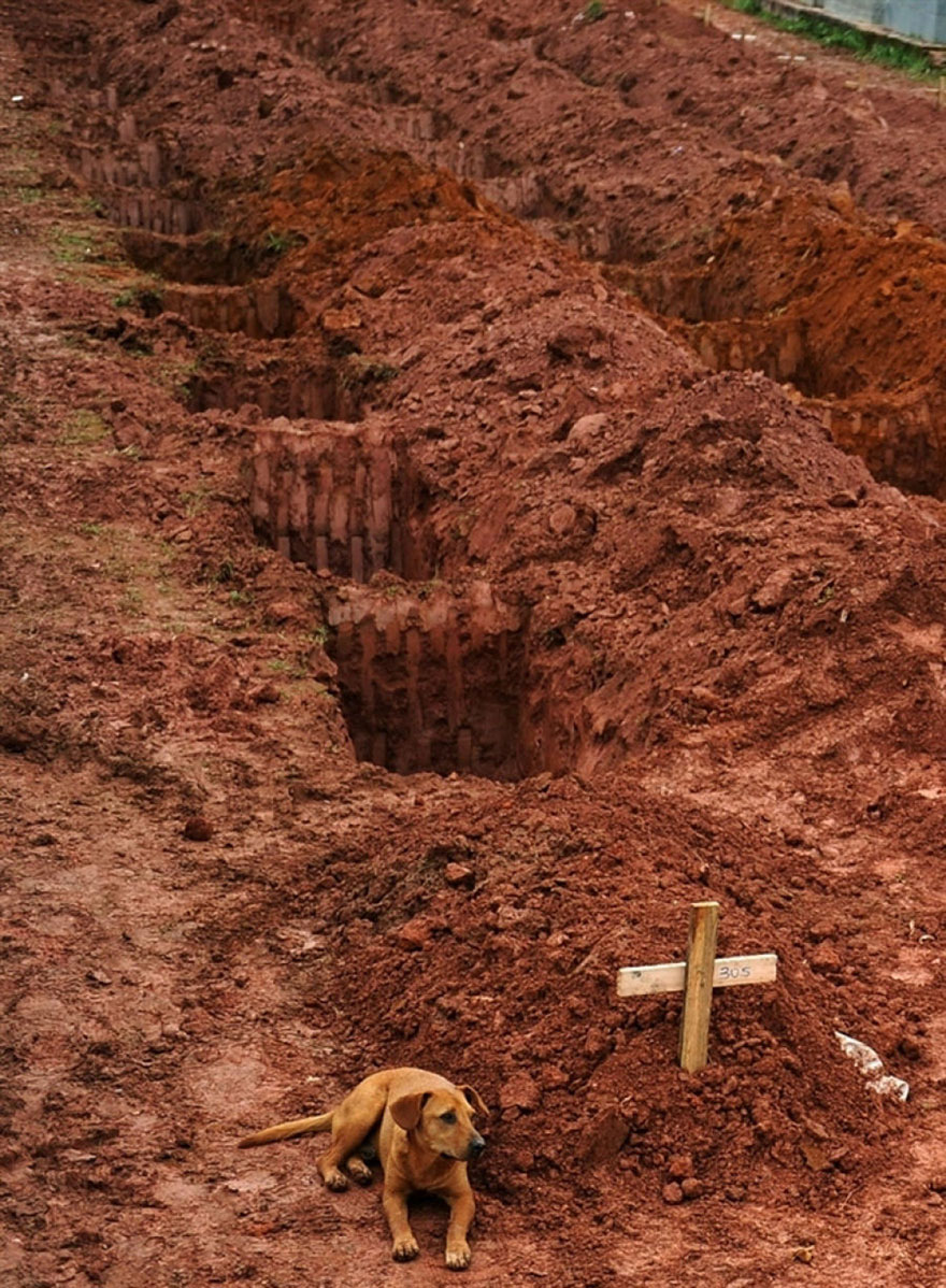 powerful-photos-17