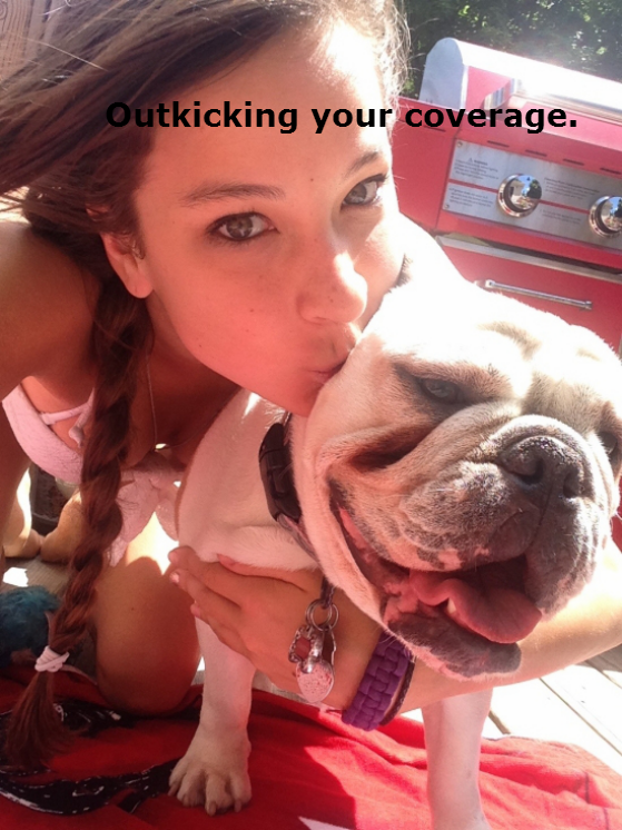 dogs-acting-like-people-0010