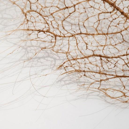 human-hair-leaves5-550x550