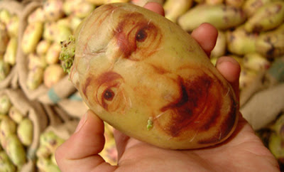 Potato Portraits by Ginou Choueiri 1
