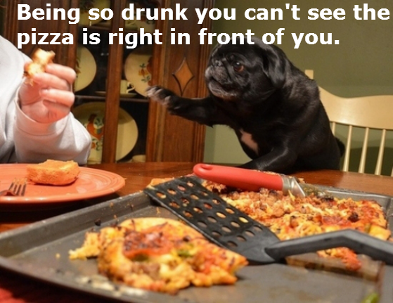 dogs-acting-like-people-0016