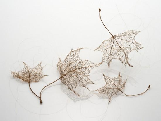 human-hair-leaves6-550x413