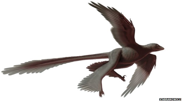 _76249376_changyuraptor
