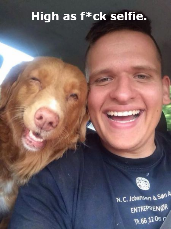dogs-acting-like-people-0022