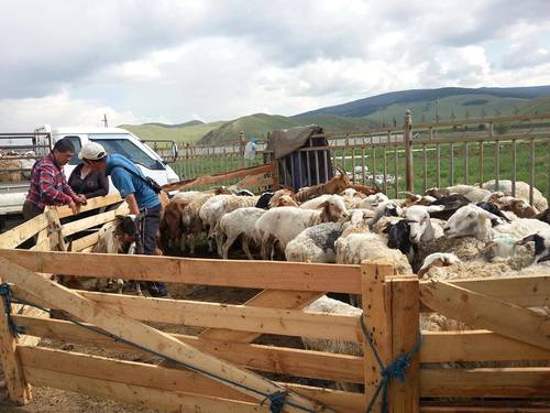 10382881_1441238002811515_1976035475887291181_n_500x500