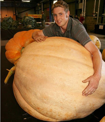 Amazing_Vegetable_4