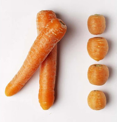 Amazing_Vegetable_8