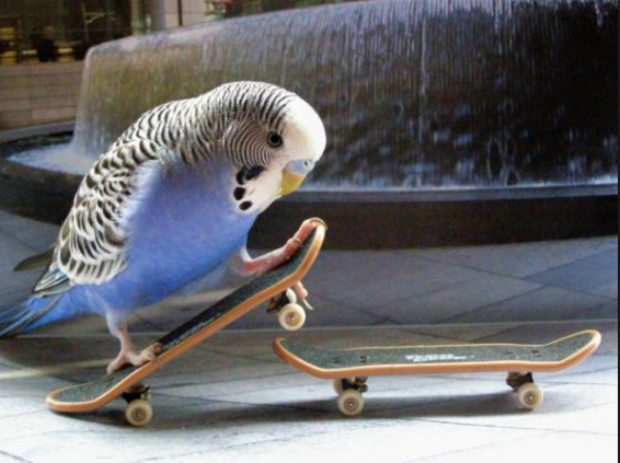 coolest photos ever gallery