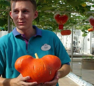 Amazing_Vegetable_10