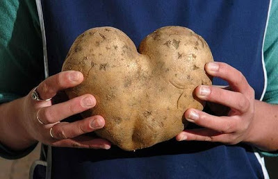 Amazing_Vegetable_1